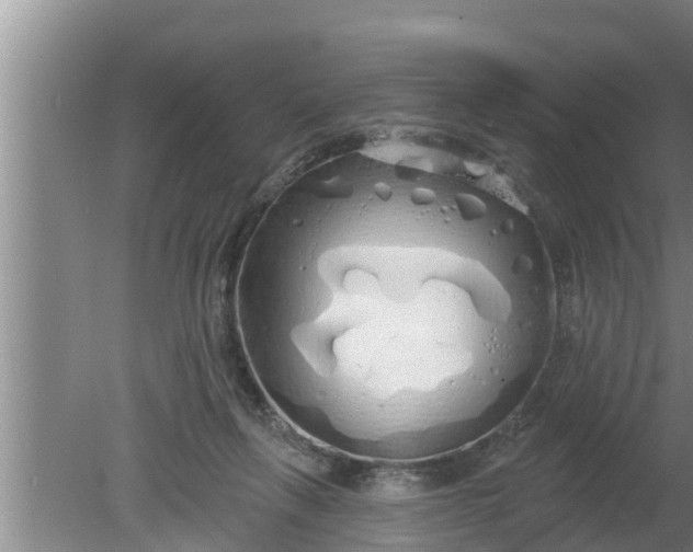 X0000080130263200612221905