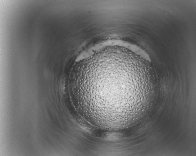 X0000080130268200612221905