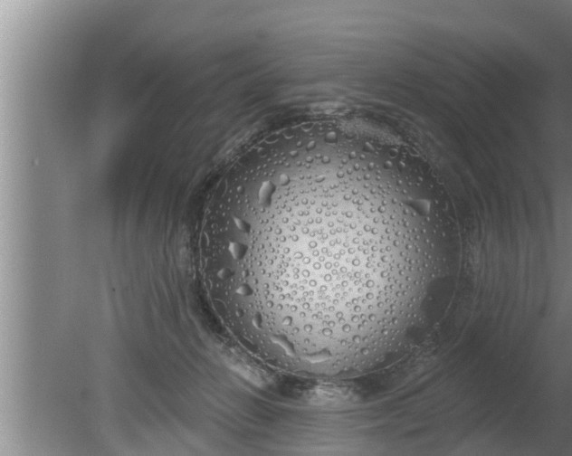 X0000080130270200612221905