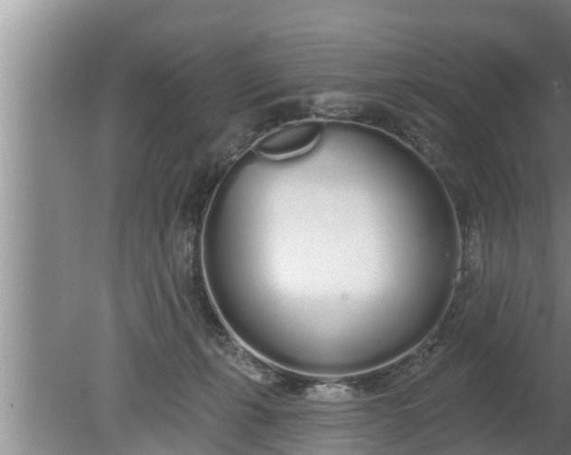 X0000080130271200612221905