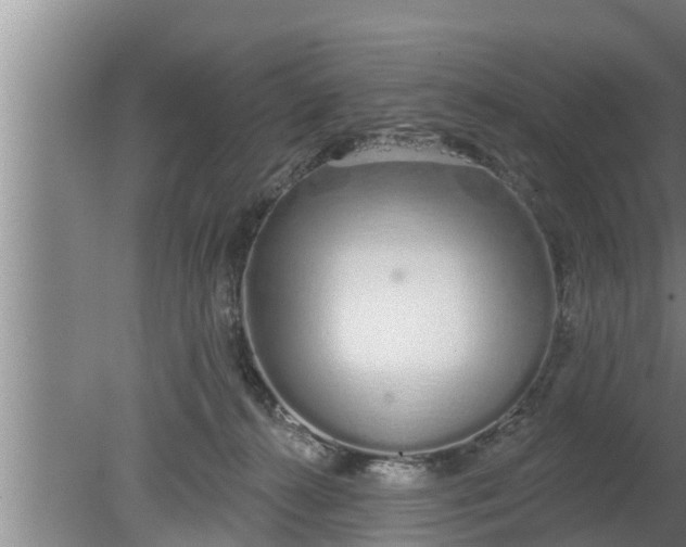 X0000080130272200612221905