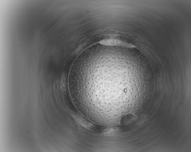 X0000080130274200612221905