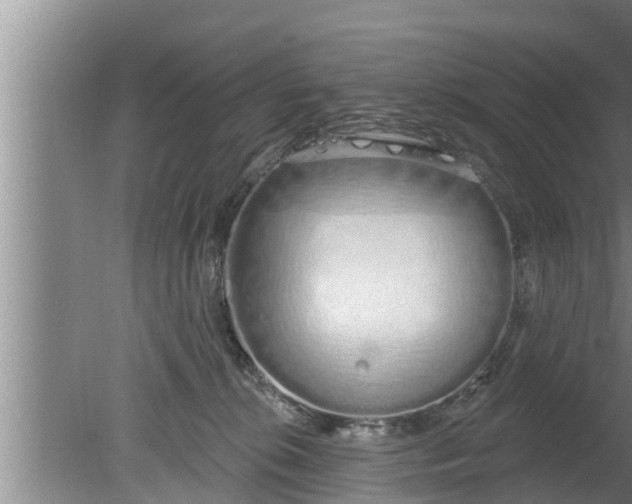 X0000080130276200612221905