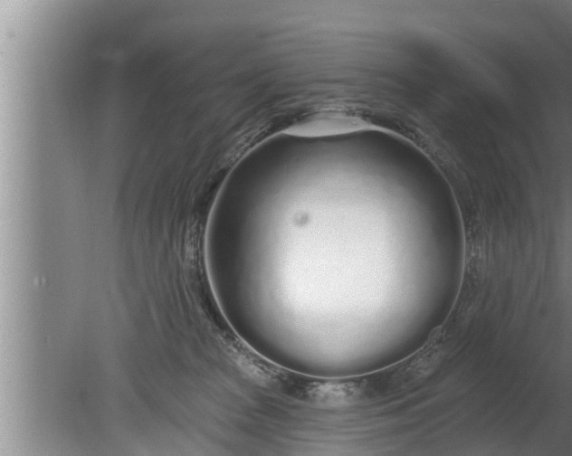 X0000080130277200612221905