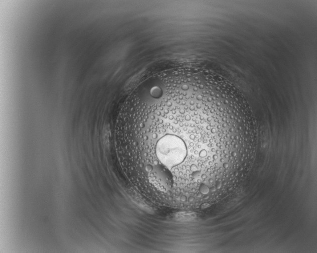 X0000080130279200612221905