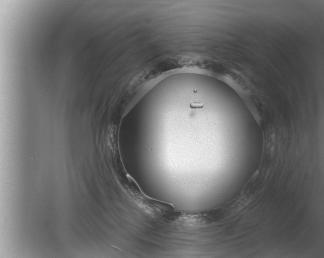 X0000080130280200612221905