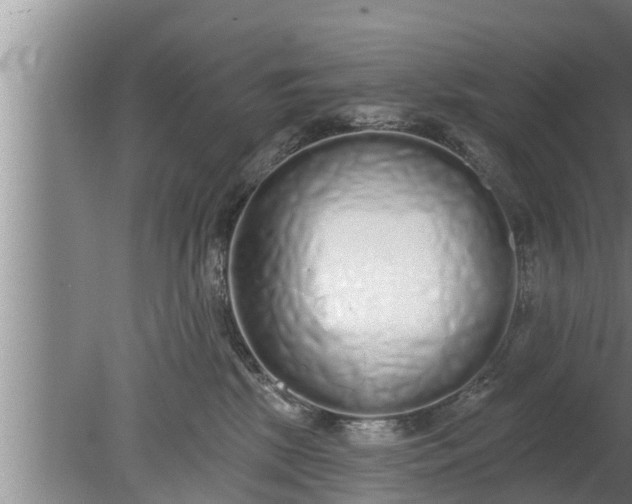 X0000080130281200612221905