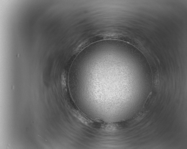 X0000080130282200612221905