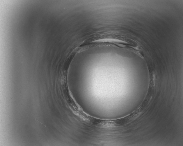 X0000080130284200612221905