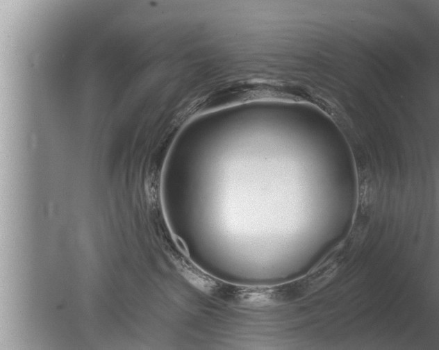 X0000080130285200612221905