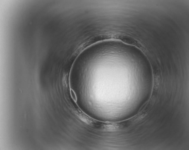 X0000080130286200612221905