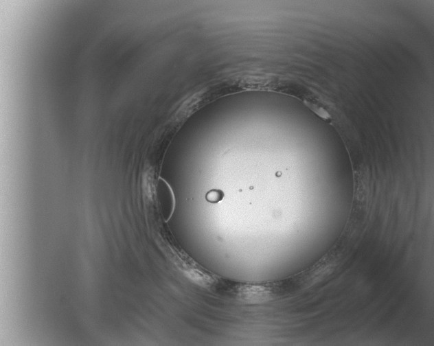 X0000080130287200612221905