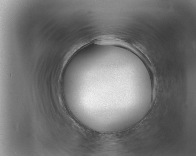 X0000080130289200612221904