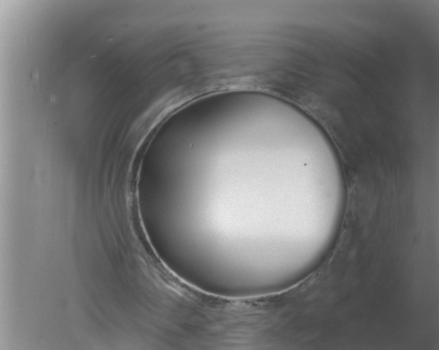 X0000080130290200612221904