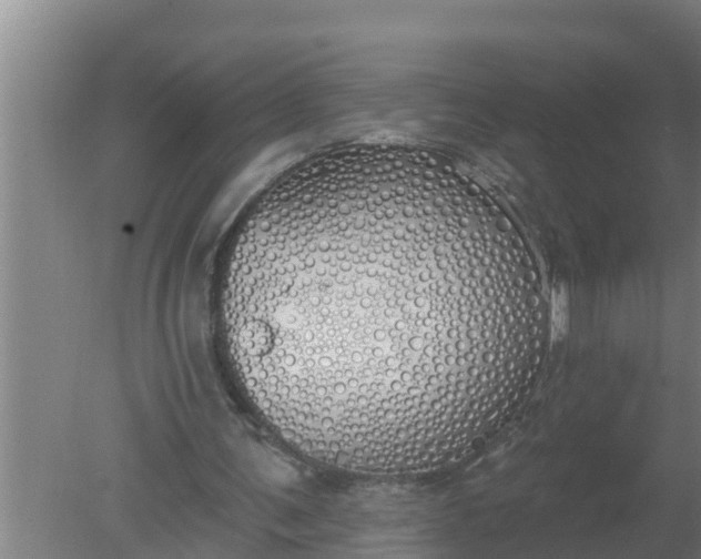 X0000080130291200612221904