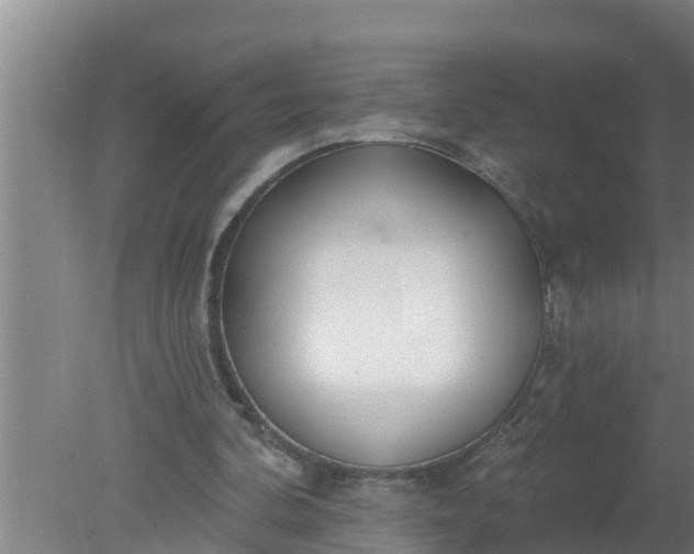 X0000080130292200612221904