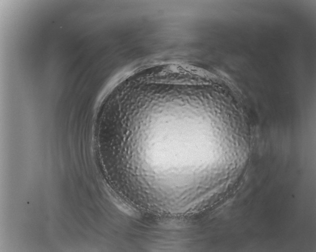 X0000080130293200612221904