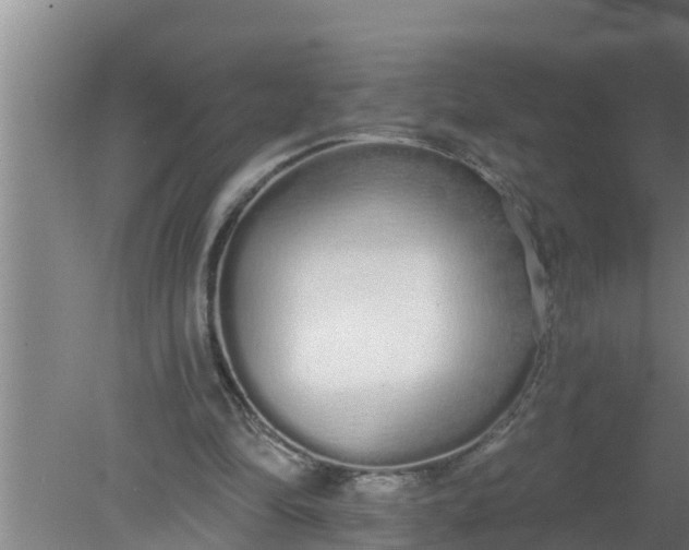 X0000080130294200612221904