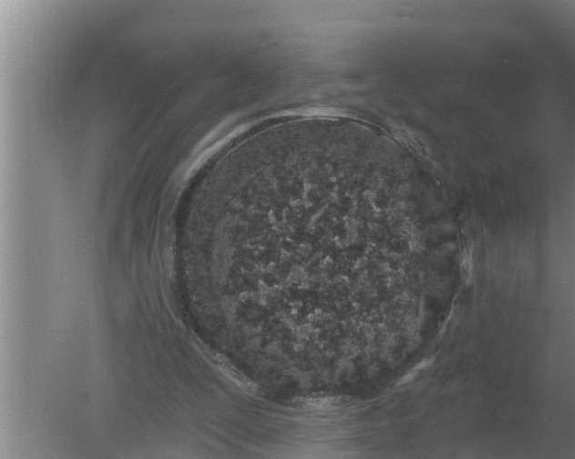 X0000080130295200612221904