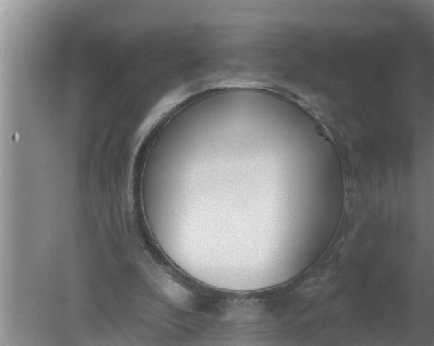 X0000080130296200612221904