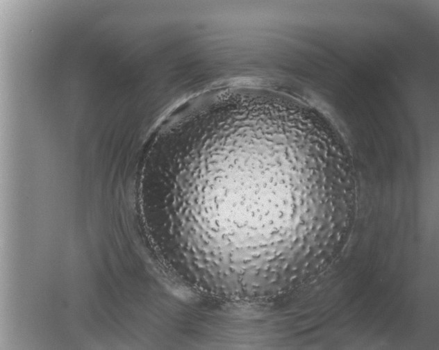 X0000080130297200612221904