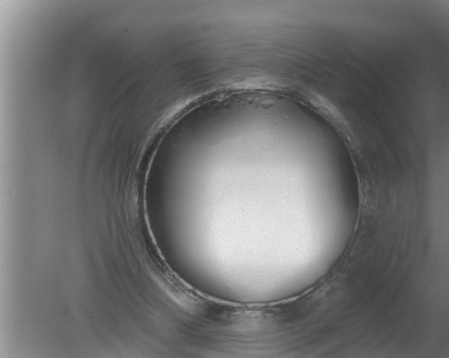 X0000080130298200612221904