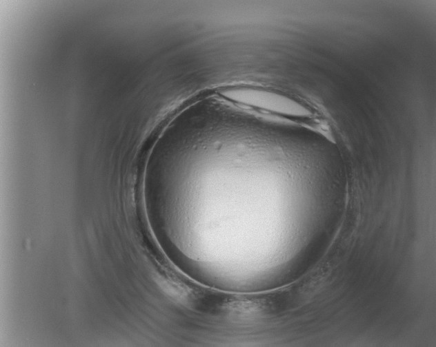 X0000080130299200612221904