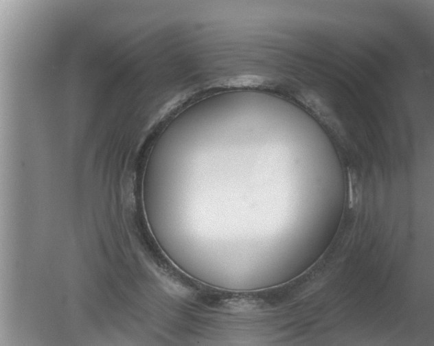 X0000080130300200612221904