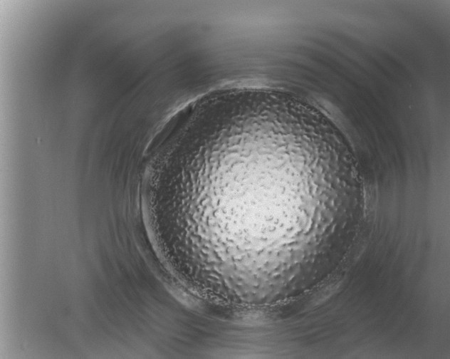 X0000080130301200612221904