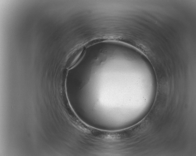 X0000080130303200612221904