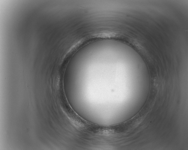 X0000080130304200612221904