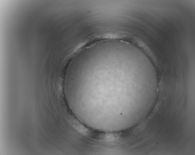 X0000080130305200612221904