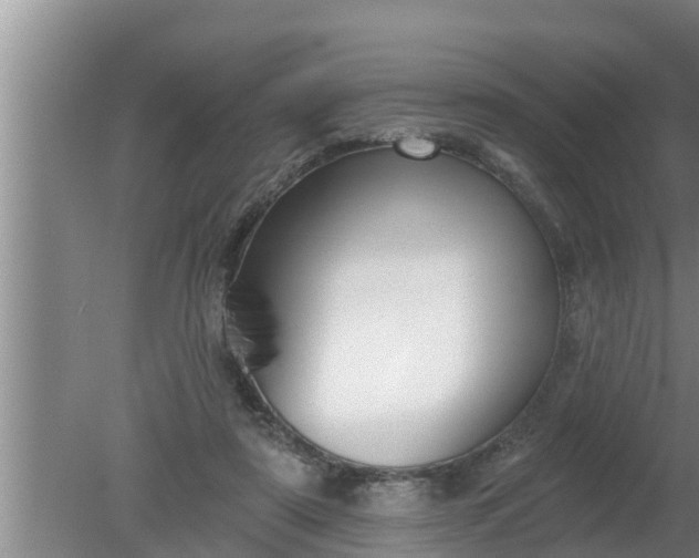 X0000080130307200612221904