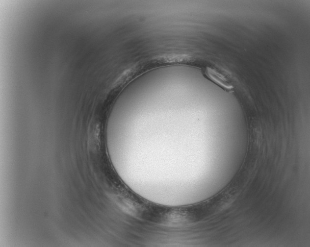 X0000080130308200612221904