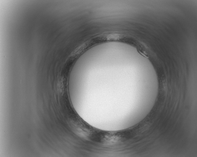 X0000080130311200612221904