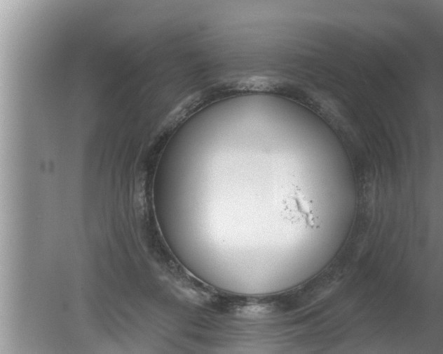 X0000080130312200612221904