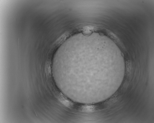 X0000080130313200612221904