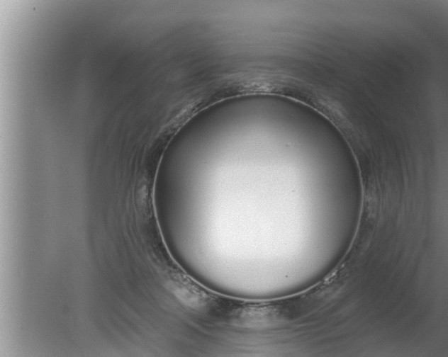 X0000080130314200612221904