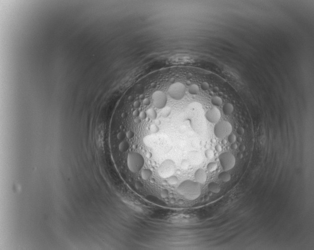 X0000080130315200612221904