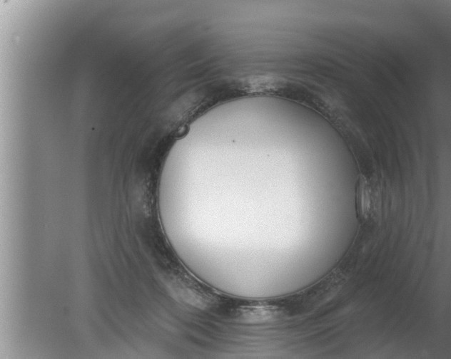 X0000080130316200612221904