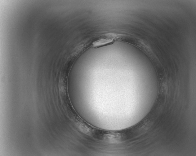 X0000080130317200612221904