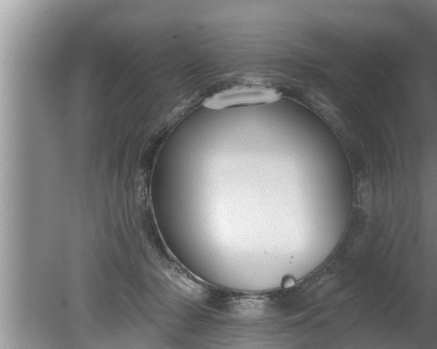 X0000080130318200612221904