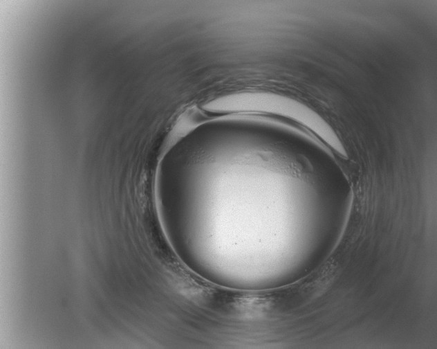 X0000080130319200612221904