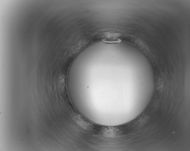 X0000080130321200612221904