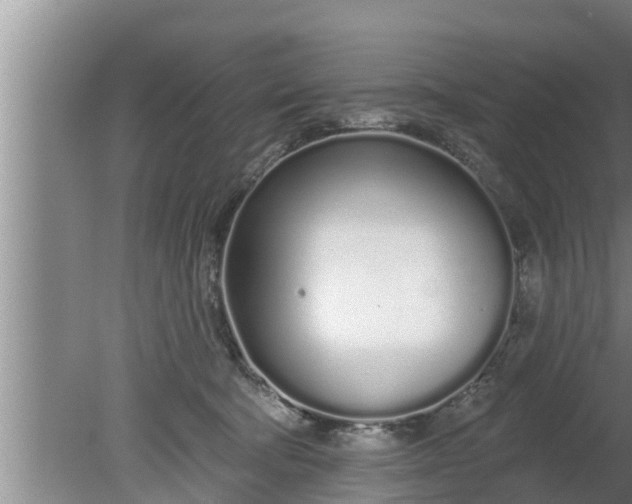 X0000080130322200612221904