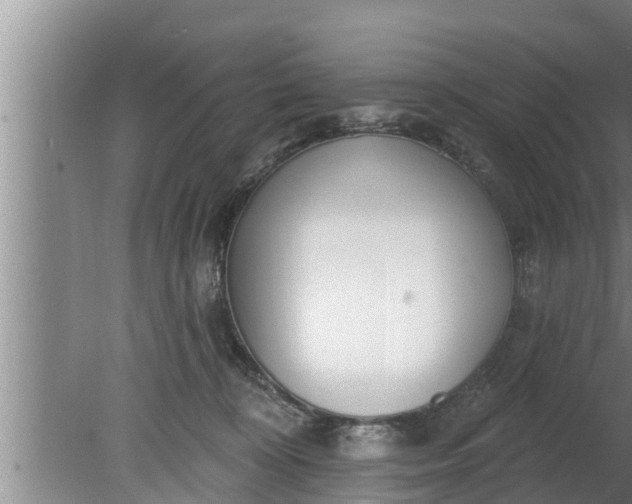 X0000080130324200612221904