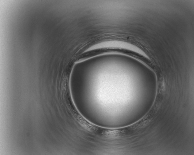 X0000080130325200612221904