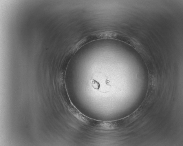 X0000080130326200612221904