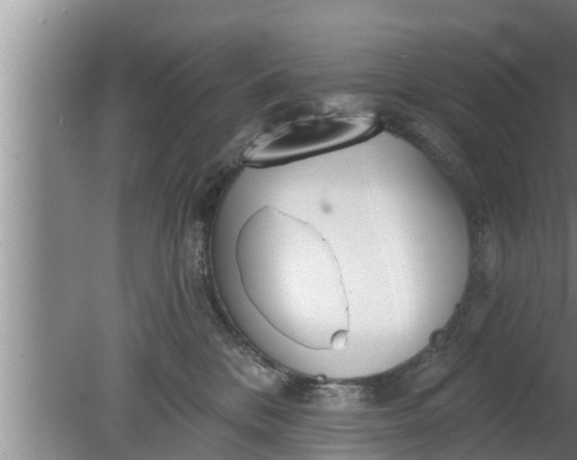 X0000080130328200612221904