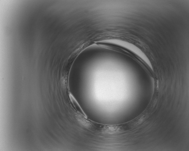 X0000080130329200612221904